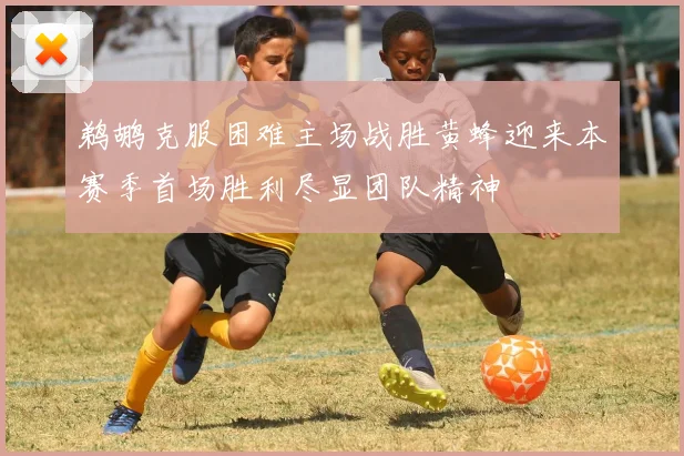 鹈鹕克服困难主场战胜黄蜂迎来本赛季首场胜利尽显团队精神
