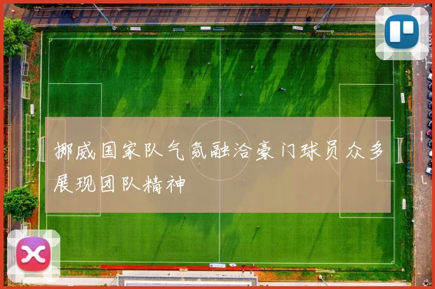 挪威国家队气氛融洽豪门球员众多展现团队精神