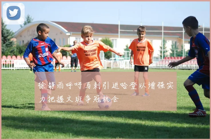 徐静雨呼吁马刺引进哈登以增强实力把握文班争冠机会